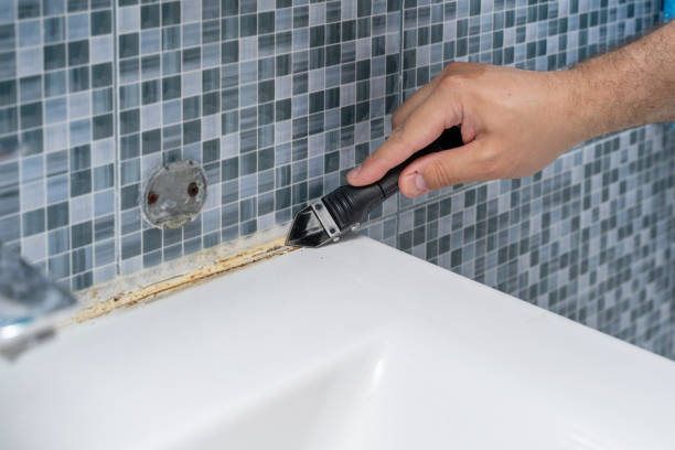 Best Mold Remediation  in Pelican Bay, FL